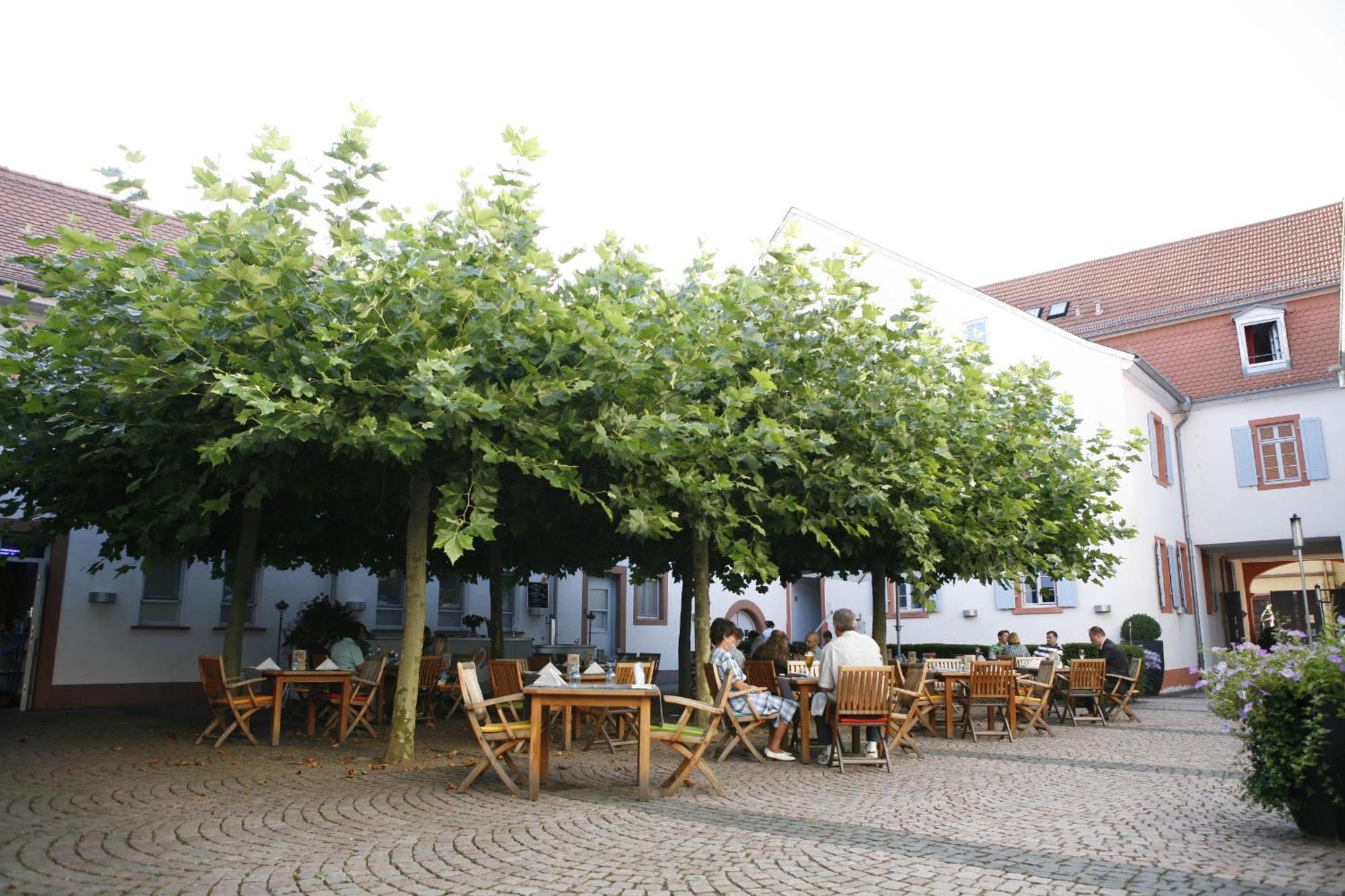 Landhotel Zum Schwanen Mit Restaurant Mona Liza Osthofen Extérieur photo